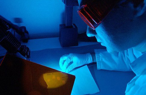 labo police scientifique