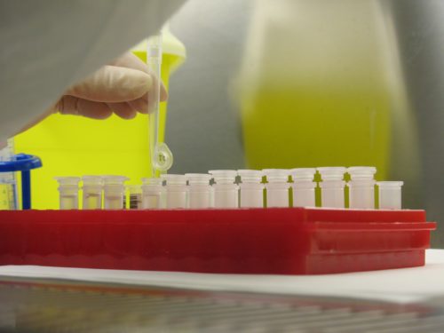 ingenieur police scientifique