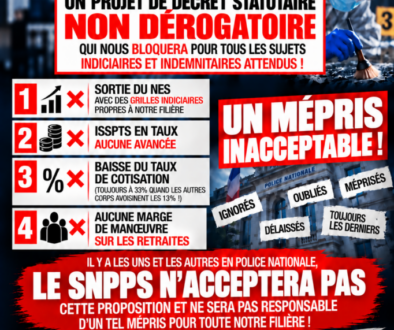 Décret statutaire